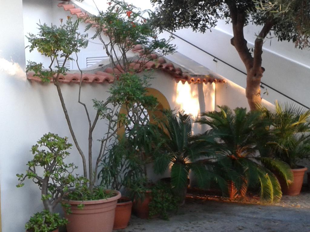 Vila Pitosforo - Ulivo - Cocco Forio di Ischia Exteriér fotografie