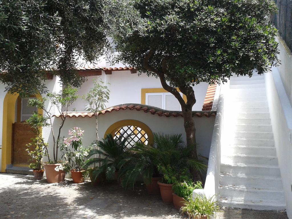 Vila Pitosforo - Ulivo - Cocco Forio di Ischia Exteriér fotografie